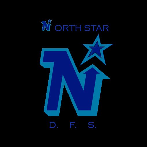 NorthStarDFS X profile picture